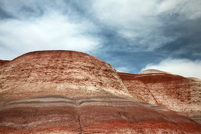 Bison : Antelope Island : Utah : Landscape Photos : Richard Moore : Photographer